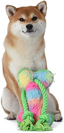 Dreamworks Trolls Oxford Bone Squeak צעצוע לכלבים | Trolls Meadow Trolls צעצוע של כלבים חותך עם חבל | צעצוע משיכת כלבים, צעצוע משיכת כלבים | צעצוע כלבים בד מאולפני יוניברסל